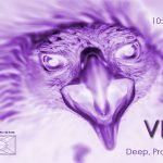 La Vena VIVO