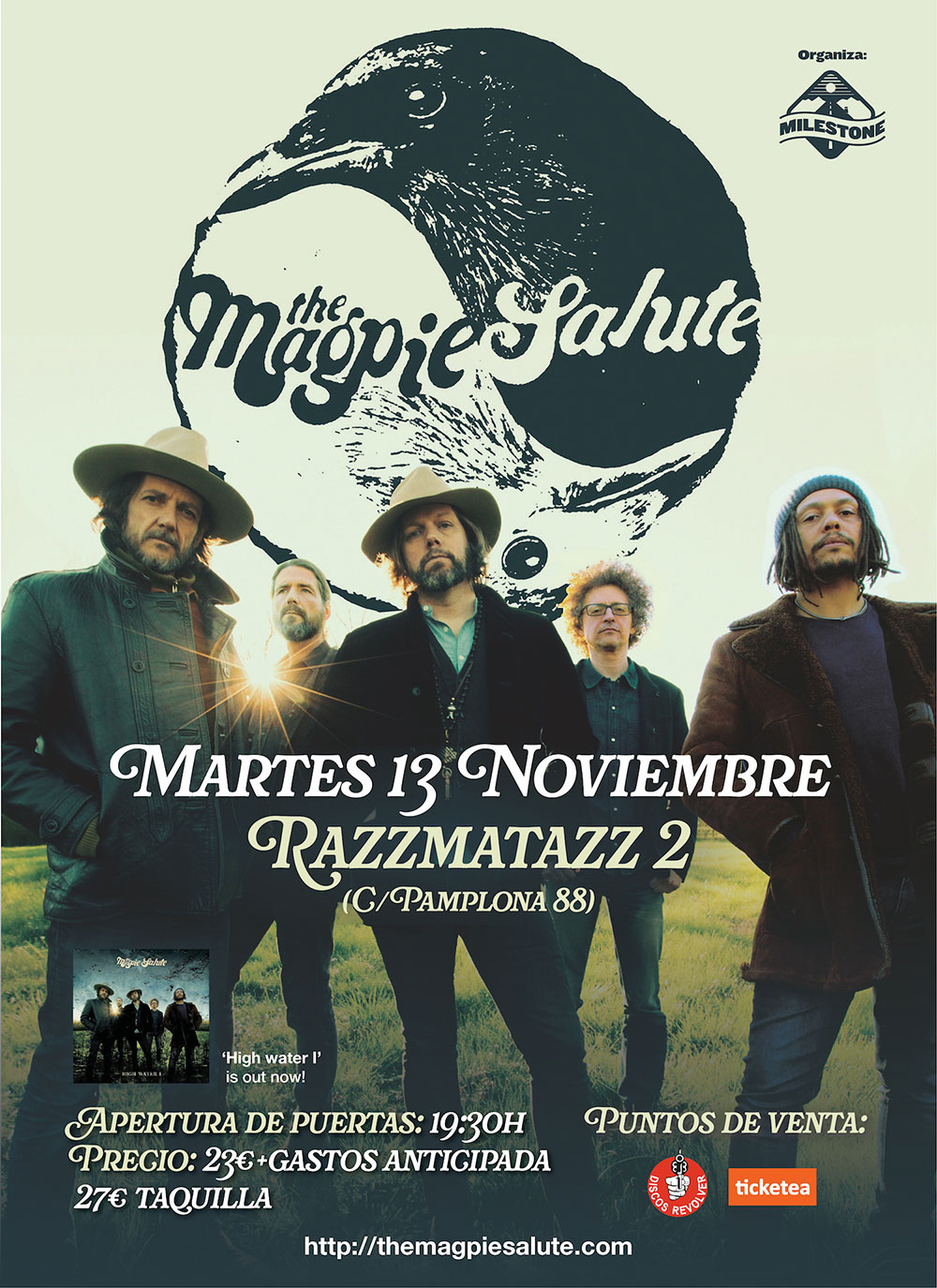 magpie-salute